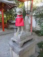 源九郎稲荷神社の狛犬