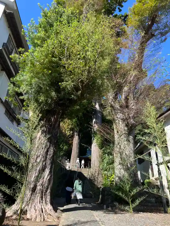 日枝神社(静岡県)