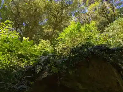 出雲大社(島根県)