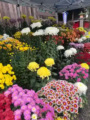 青井阿蘇神社(熊本県)