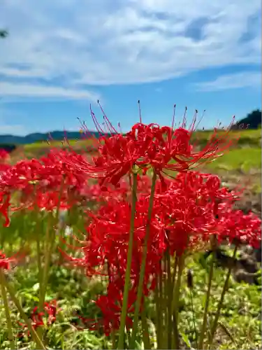 葛城一言主神社(奈良県)