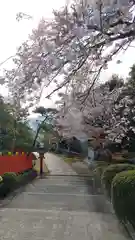 建勲神社の自然