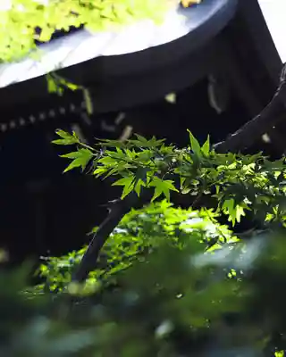 川中島古戦場八幡社(長野県)