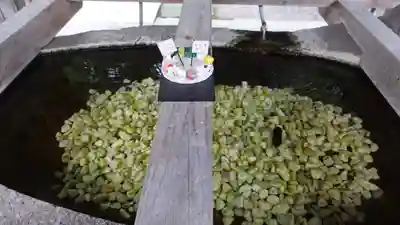 甲斐國一宮 浅間神社(山梨県)