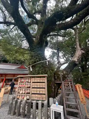 熊野那智大社の{uncategorized: "未分類", other: "その他", undefined: "問題あり", building: "その他建物", grave: "お墓", sacred_gate: "鳥居", guardian: "狛犬", statue: "像", buddha: "仏像", history: "歴史", nature: "自然", garden: "庭園", animal: "動物", pagoda: "塔", temizu: "手水舎", mountain_gate: "山門・神門", sanctuary: "本殿・本堂", subordinate: "末社・摂社", art: "芸術", scenery: "景色", jizo: "地蔵", ema: "絵馬", goshuin: "御朱印", omikuji: "おみくじ", items: "授与品その他", amulet: "お守り", goshuincho: "御朱印帳", eats: "食事", festival: "お祭り", votive_dance: "神楽", shichigosan: "七五三参", wedding: "結婚式", experience: "体験その他", initially: "初詣", around: "周辺", anti_infection: "感染症対策"}