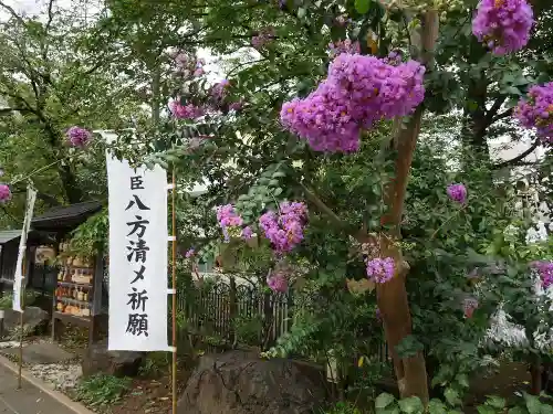 桜神宮の庭園