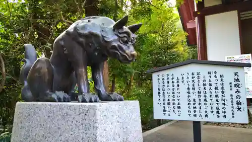 稲毛神社の狛犬