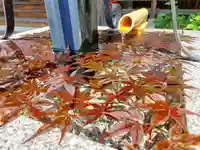 霊泉寺の手水舎