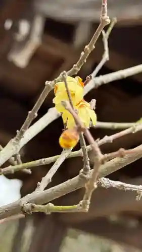 由加神社（和気由加神社）(岡山県)