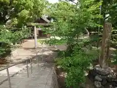 稲荷神社（柴田稲荷神社）の鳥居