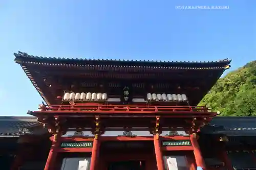 鶴岡八幡宮の本殿・本堂