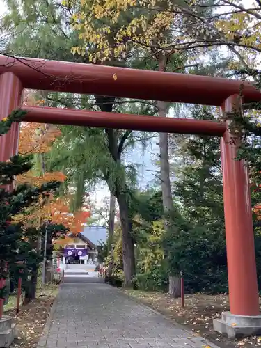 永山神社の鳥居