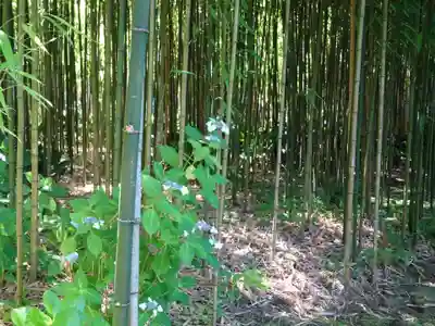 浄智寺(神奈川県)