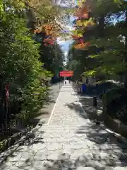 大崎八幡宮の建物その他