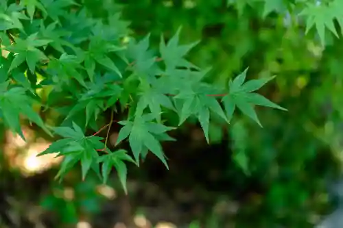 晴明神社(京都府)