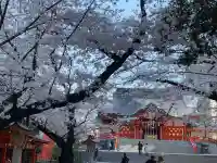 花園神社の自然