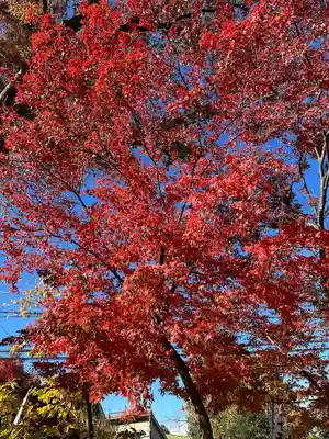 小野神社(東京都)