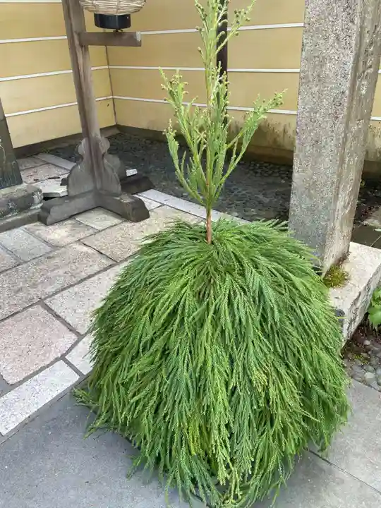 普門院(和歌山県)