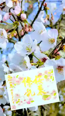 菊田神社の御朱印