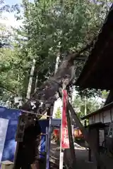 生島足島神社の自然