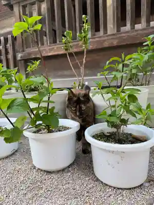 十日恵比須神社(福岡県)