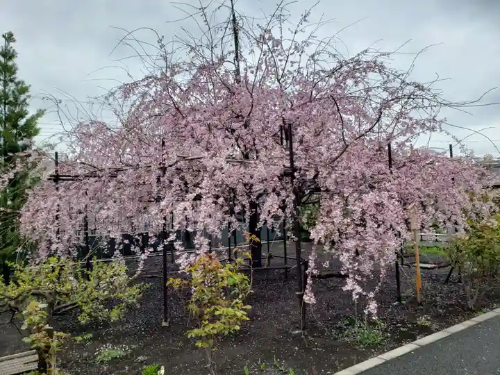 福蔵院(東京都)