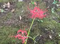 伊勢の国 四天王寺の自然