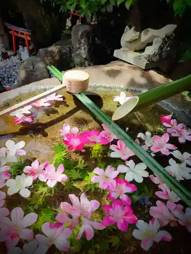 東京羽田 穴守稲荷神社の手水舎