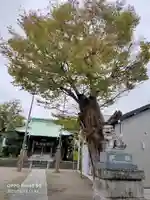 上妙典八幡神社の本殿・本堂