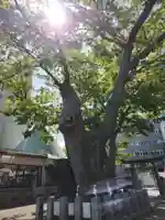 阿邪訶根神社の自然