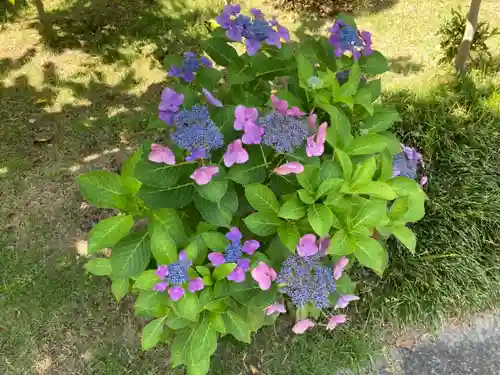 横浜　西方寺(神奈川県)