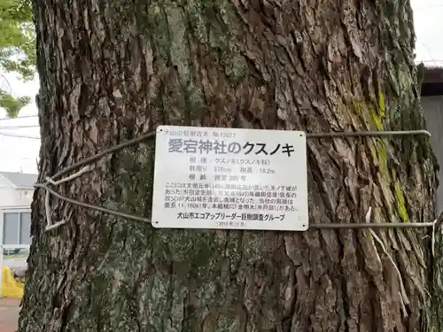 愛宕神社(愛知県)