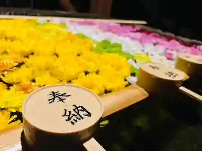 土津神社|こどもと出世の神さまの手水舎