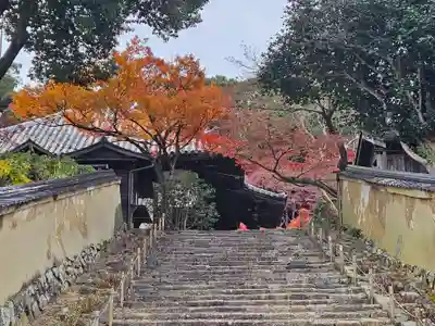 白毫寺(奈良県)