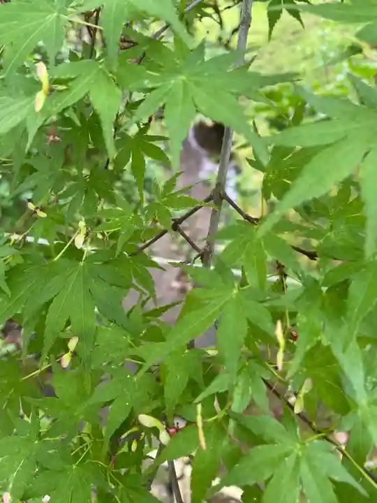 歌泉堂(春日大社神苑萬葉植物園内鎮座)(奈良県)