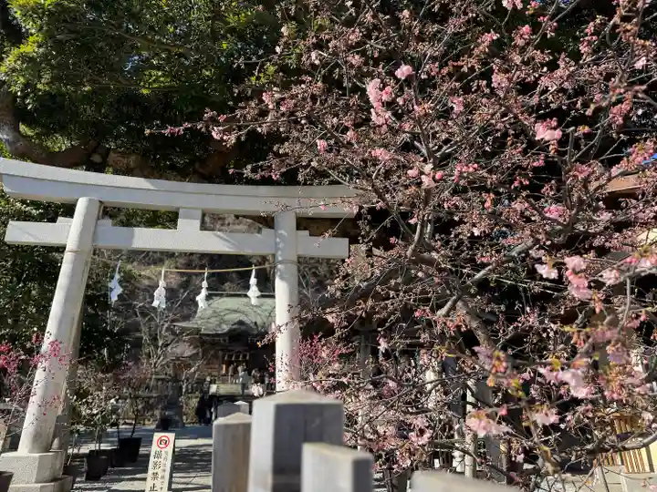 御霊神社(神奈川県)