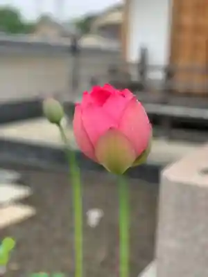 上行寺(静岡県)