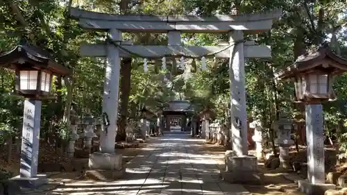 駒木諏訪神社の鳥居