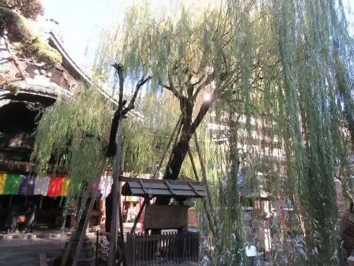 頂法寺(六角堂)(京都府)