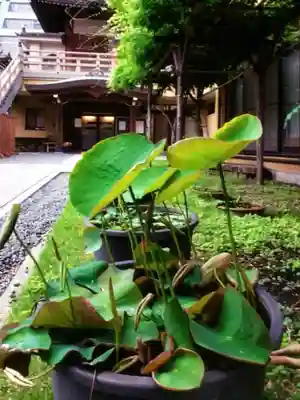 圓珠寺(東京都)