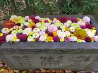 行田八幡神社(埼玉県)