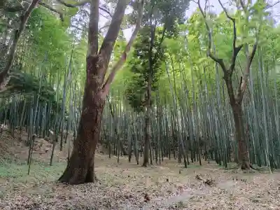 石清水八幡宮の{uncategorized: "未分類", other: "その他", undefined: "問題あり", building: "その他建物", grave: "お墓", sacred_gate: "鳥居", guardian: "狛犬", statue: "像", buddha: "仏像", history: "歴史", nature: "自然", garden: "庭園", animal: "動物", pagoda: "塔", temizu: "手水舎", mountain_gate: "山門・神門", sanctuary: "本殿・本堂", subordinate: "末社・摂社", art: "芸術", scenery: "景色", jizo: "地蔵", ema: "絵馬", goshuin: "御朱印", omikuji: "おみくじ", items: "授与品その他", amulet: "お守り", goshuincho: "御朱印帳", eats: "食事", festival: "お祭り", votive_dance: "神楽", shichigosan: "七五三参", wedding: "結婚式", experience: "体験その他", initially: "初詣", around: "周辺", anti_infection: "感染症対策"}