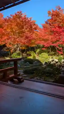 源光庵(京都府)