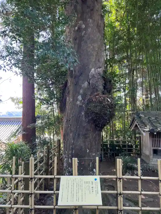 龍潭寺(静岡県)