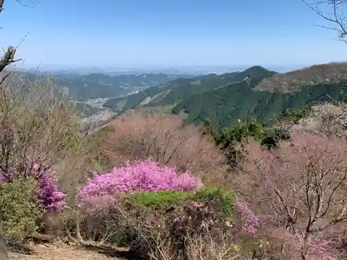 武蔵御嶽神社の景色