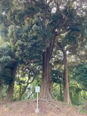 七郷神社(埼玉県)