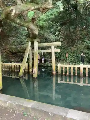 鹿島神宮(茨城県)