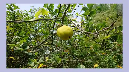 冠稲荷神社(群馬県)