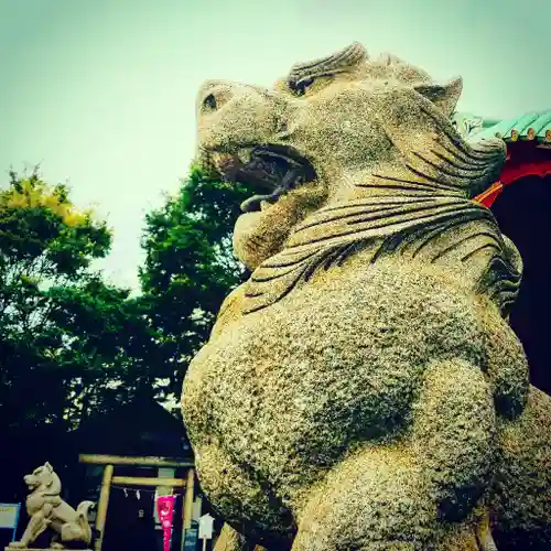 神田神社（神田明神）の狛犬