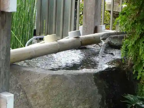 妙蓮寺の手水舎